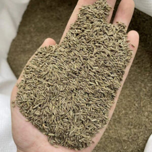 Cumin