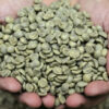 Vietnamese green Robusta coffee beans, unroasted, wholesale bulk supply