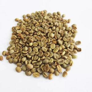 Green Coffee Beans Robusta Coffee Vietnam High Quality