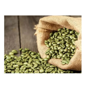 Low Cost Arabica Green Coffee Beans High Quality Flavorful Beans Ideal for Coffee Shops and Home Use Quick Delivery Options