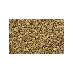 Green Bean Specialty Arabica THA1 Top Grade Coffee Beans Manufacturing