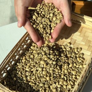 In Bulk Vietnamese Coffee 100% Pure Robusta African Coffee Beans Exercise Performance Traditional Coffee Beans