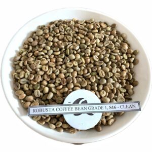 BEST SELLER 2024 Vietnam green coffee beans Robusta fast shipping cheap price .
