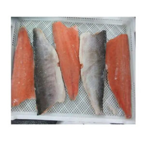 Cheap Frozen Mackerel Tuna Trout Bonito Tilapia Squid Salmon Fish