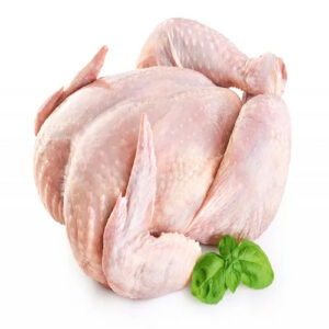 Top Brazilian Brazilian Complete Chicken High Quality Chicken Meat Wholesale Prices Fresh Frozen Halal Frozen Chicken