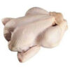 Halal whole frozen chicken from Turkey, no giblets, wholesale bulk export