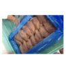 USA chicken breast fillet, boneless skinless, wholesale bulk frozen