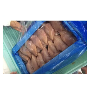 Halal Frozen Chicken Breast and Frozen Chicken