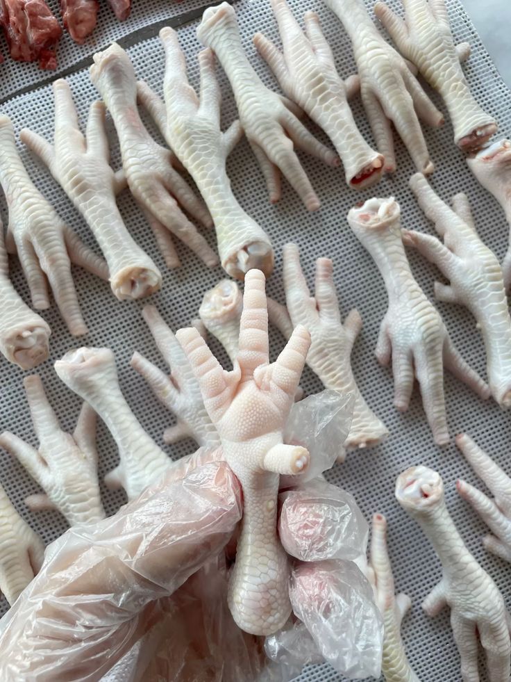 Halal chicken feet from Brazil, Grade A, wholesale bulk frozen