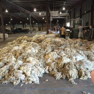 Australian clean wool fiber, EMI grade, wholesale bulk export