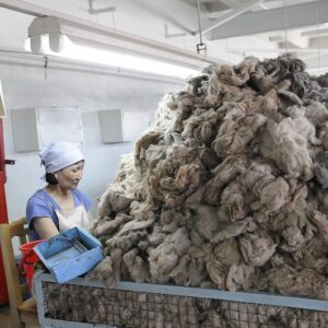 Mongolian raw cashmere fiber, luxury grade, wholesale bulk export
