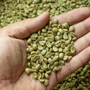Réunion Island Bourbon Pointu green coffee beans, rare micro-lot