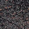 Chinese black Forbidden Rice, wholesale bulk supply