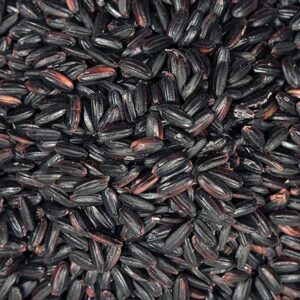 Chinese black Forbidden Rice, wholesale bulk supply