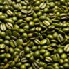 Hawaiian Kona green Arabica coffee beans, unroasted, wholesale rare lot