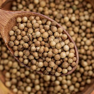 Indian coriander seeds, Eagle grade, wholesale bulk export