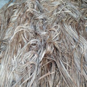 Bangladesh Jute Fiber Wholesale (Tossa Grade)