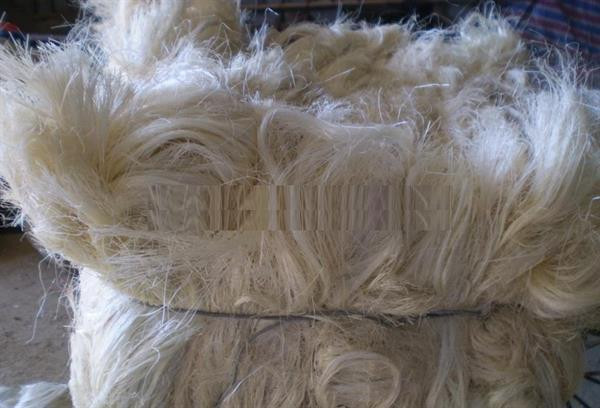 quality-sisal-fibre-raw-sisal-fibre-material-for-export1-0773767001637753116.jpg