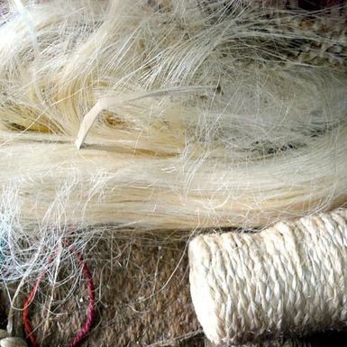 quality-sisal-fibre-raw-sisal-fibre-material-for-export5-0169380001637753118.jpg